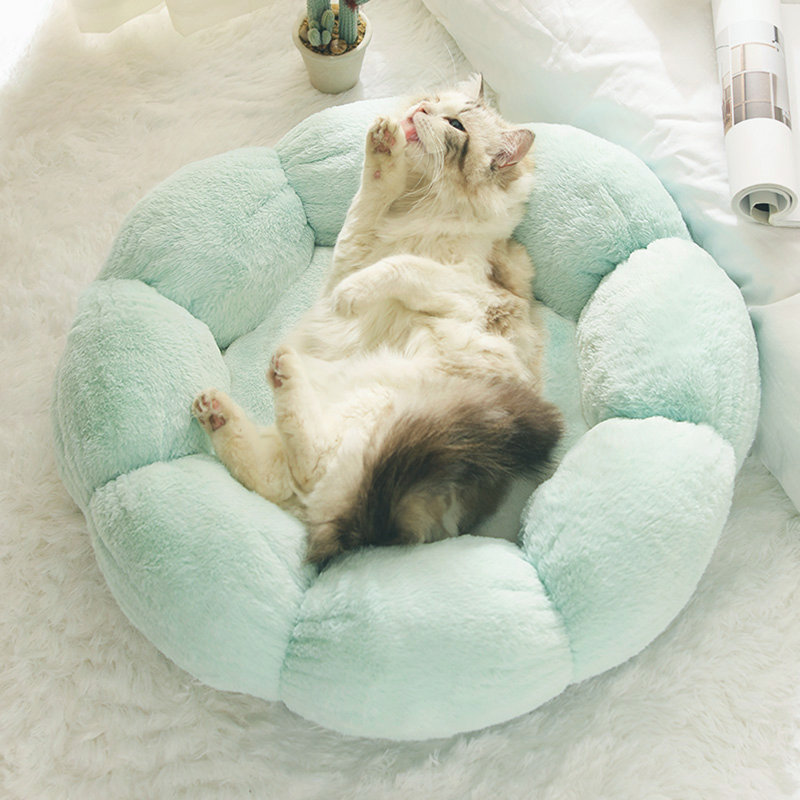 Tucker Murphy Elyzabeth Flower Shaped Pet Bed